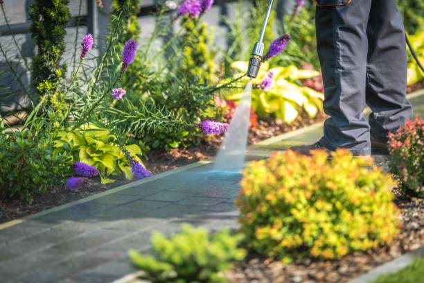 Tuckahoe, VA Pressure Washing Services Company